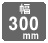 icon_w300.jpg