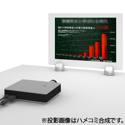 シンプルスクリーンDPS-1